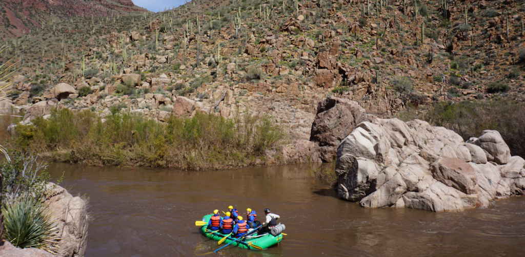 A green raft floats by a hill filled with green cactus.