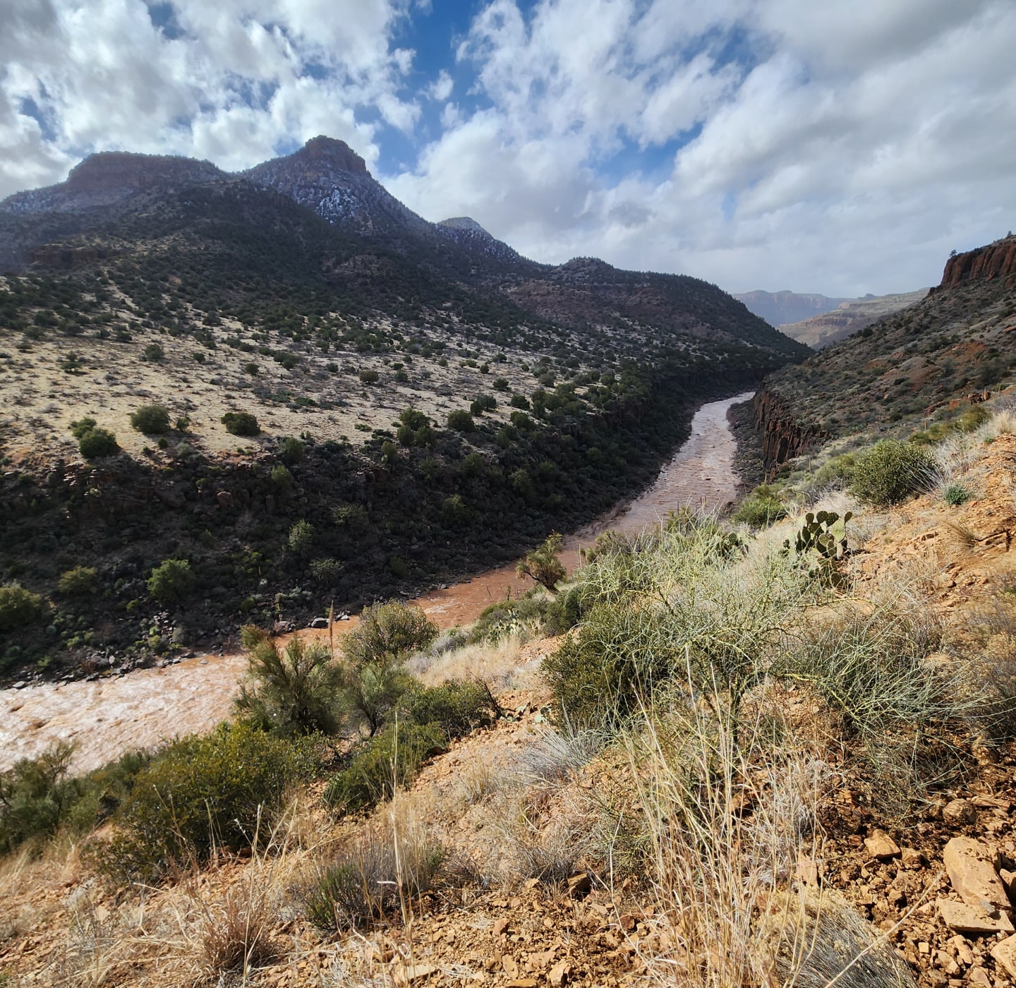 A muddy river flows through the desert