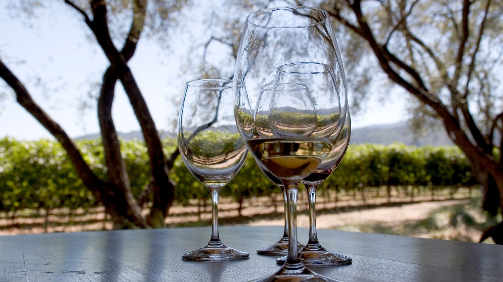 wine glasses on a table at a vineyard