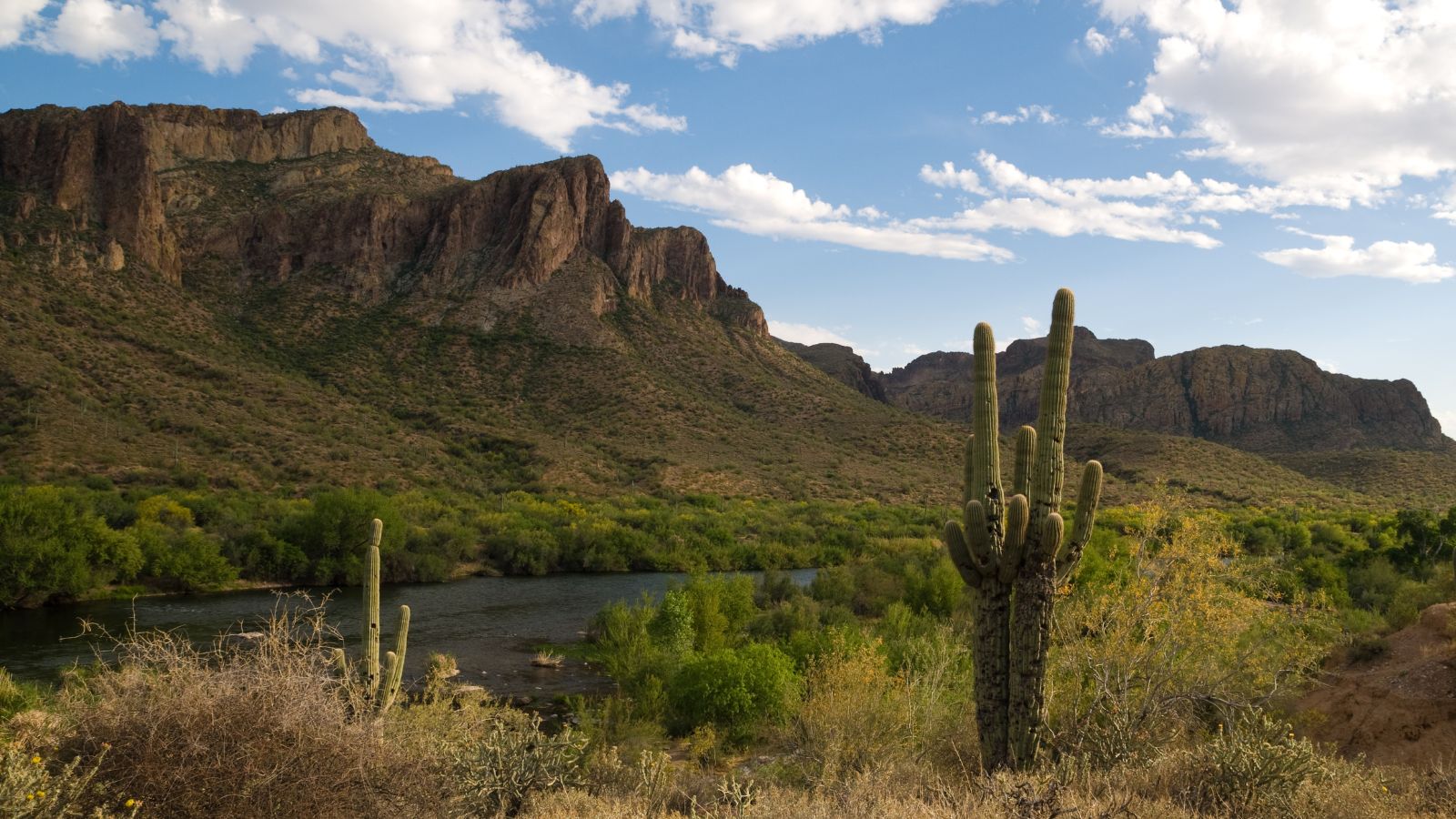 the salt river flows through a desert scape with browns rocks and cactus