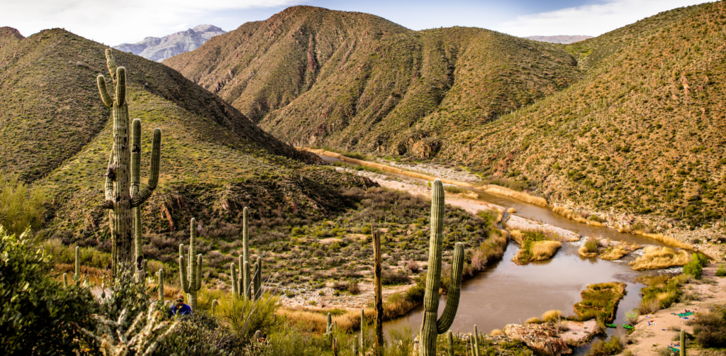 An aerial shot of Arizona's salt river with cactus and rolling hills