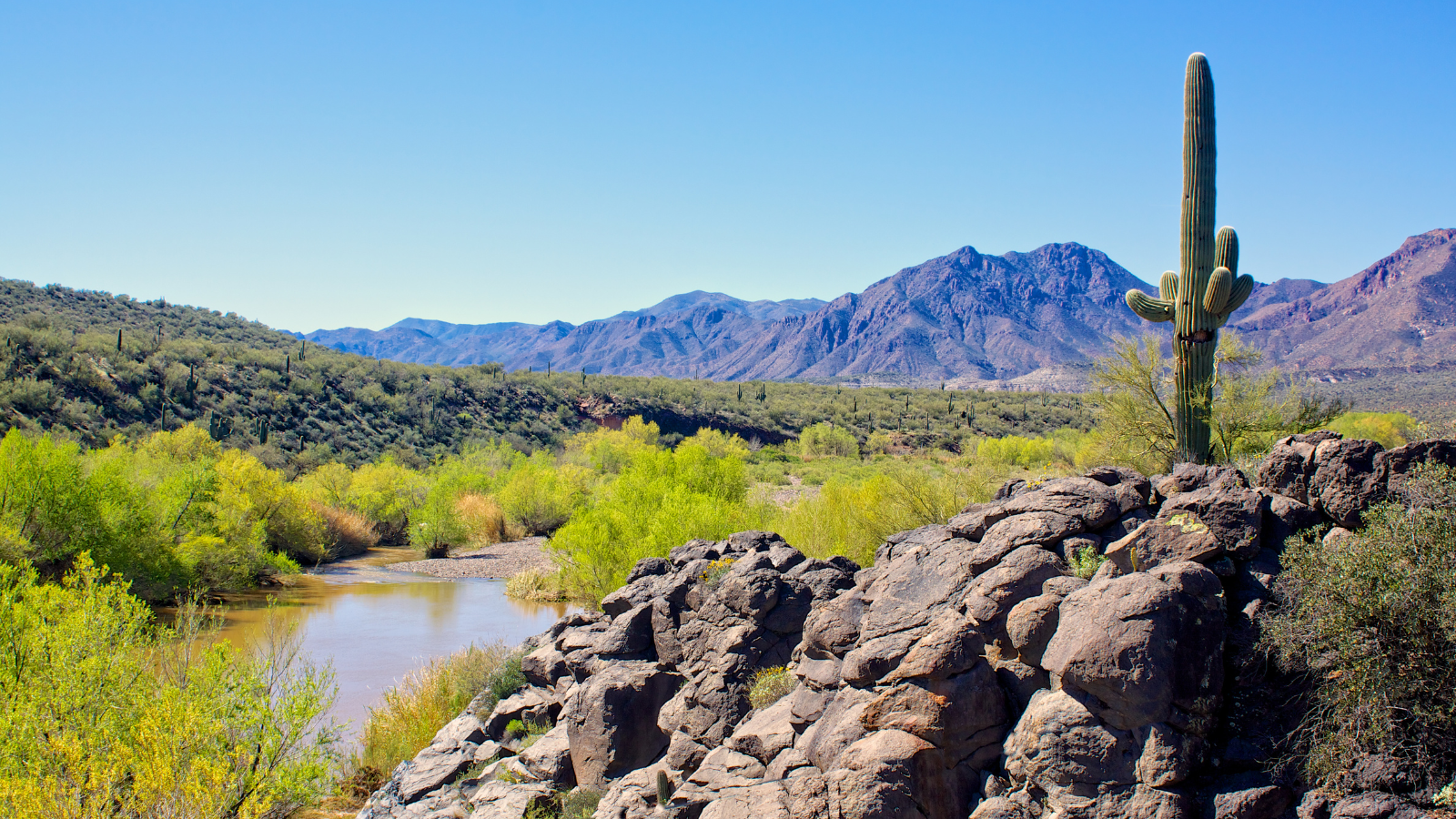 verde river in Arizona