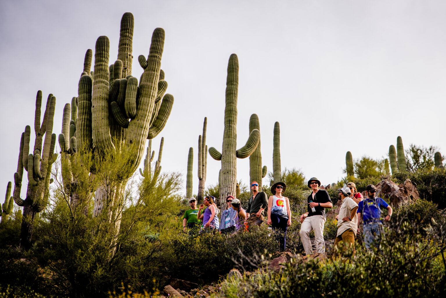A group of people hike near the salt river