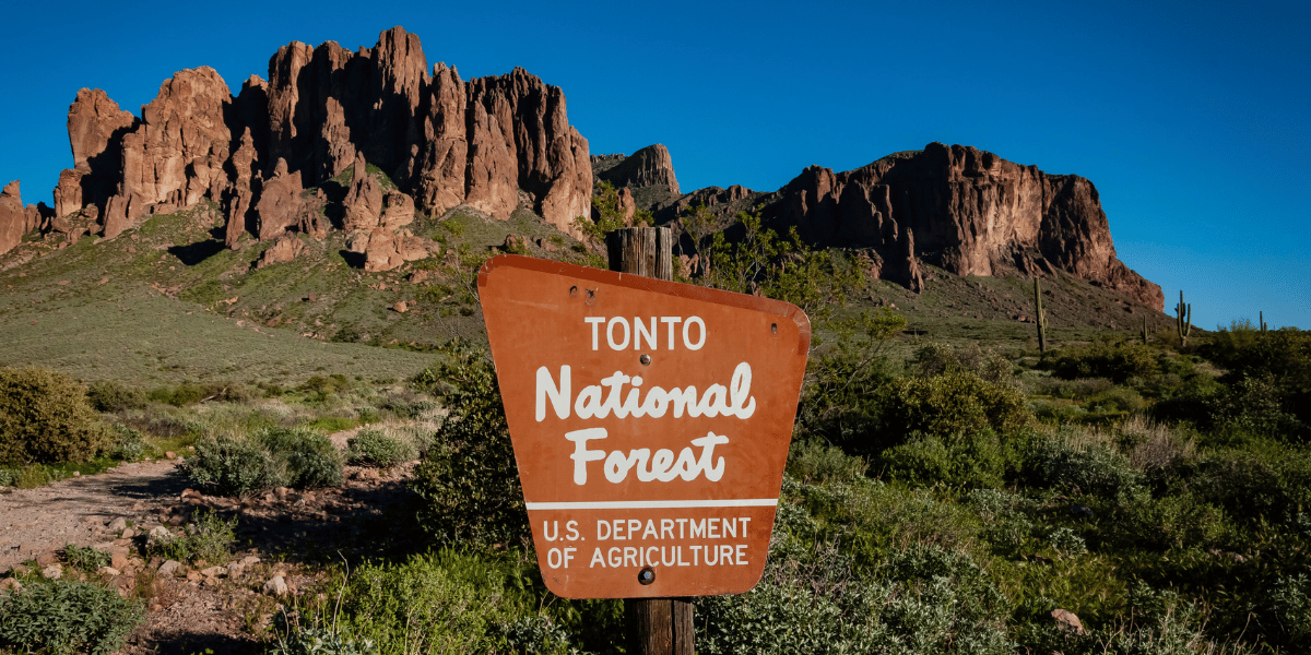 Tonto national forest sign with rock formations in background.