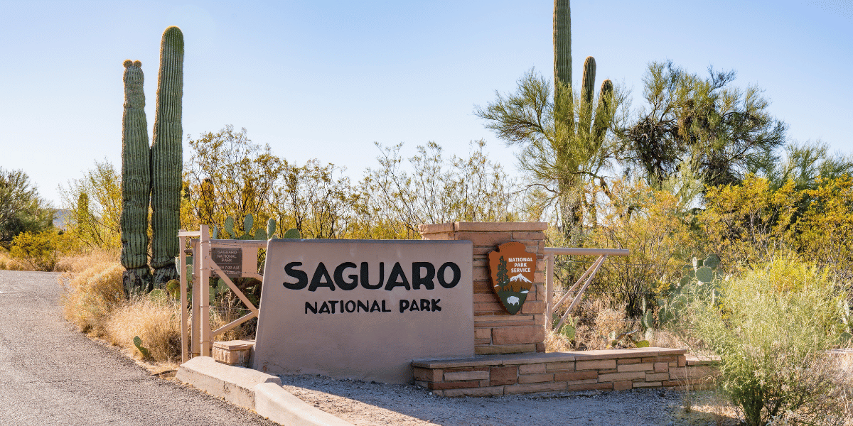 The sign of saguaro national park entrance. 