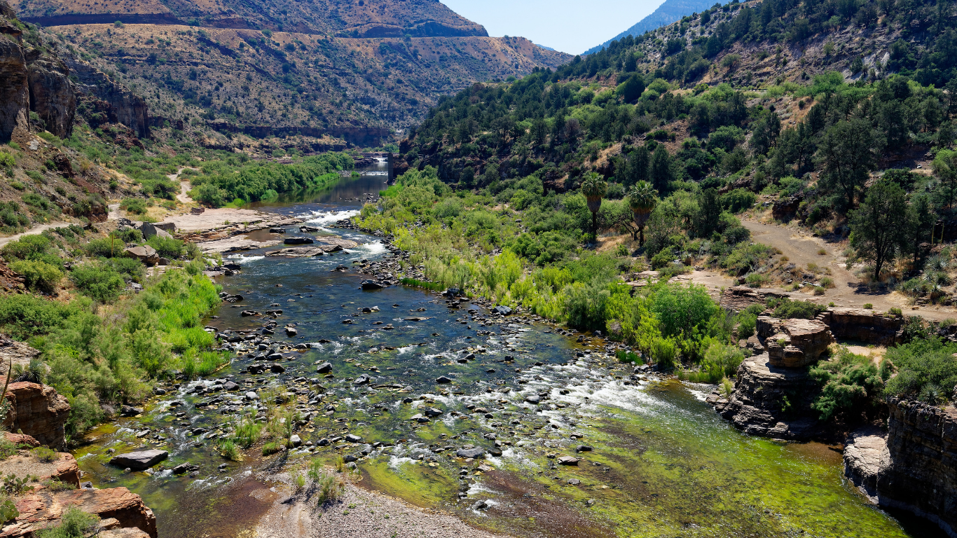 plants along the banks of salt river canyon in arizona and rocks in the water causing ripples