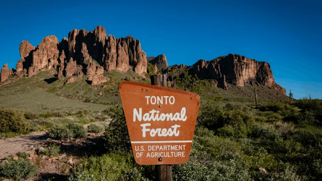 tonto national forest sign near globe arizona